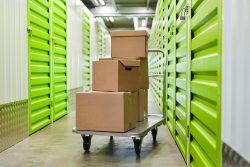 Background,Image,Of,Cart,With,Cardboard,Boxes,In,Empty,Hall